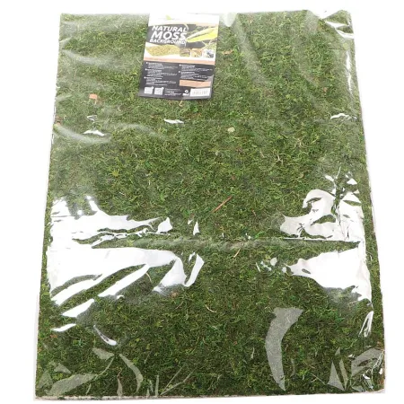 Repti-Zoo Natural Moss Back&Bottom - tło i podłoże z mchu 50x25cm-1915860