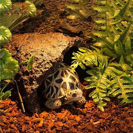 Repti-Zoo Pine Bark 4l - kora-1916207