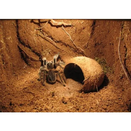 Repti-Zoo Podłoże z włókien kokosa 8l-1916241