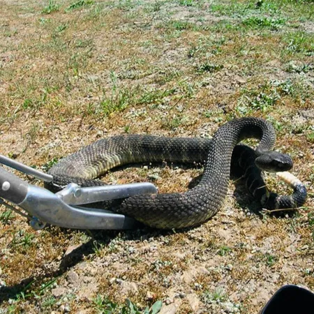 Repti-zoo Snake Tong - metalowy chwytak do węży 100cm-1916551