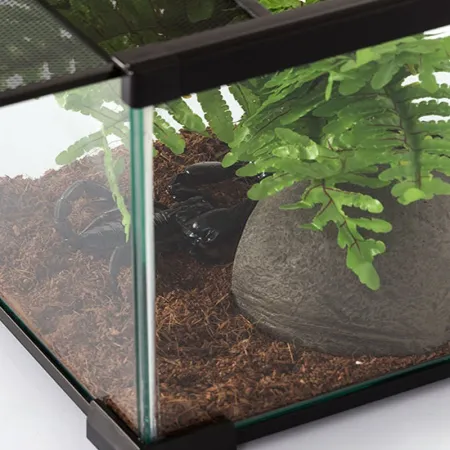 Repti-Zoo Terrarium AK 21x21x15-1916816
