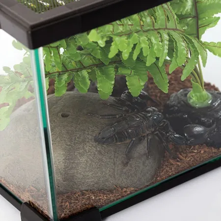 Repti-Zoo Terrarium AK 21x21x20-1916829
