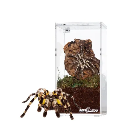 Repti-Zoo Terrarium akrylowe wysokie 7,5x7,5x15cm-1916877