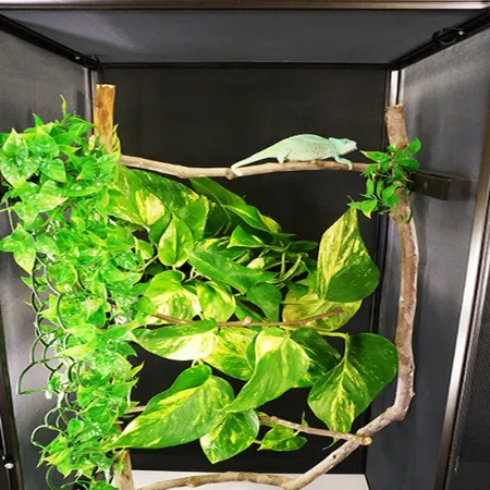 Repti-Zoo Terrarium z aluminiowej siatki 60x60x120-1917469