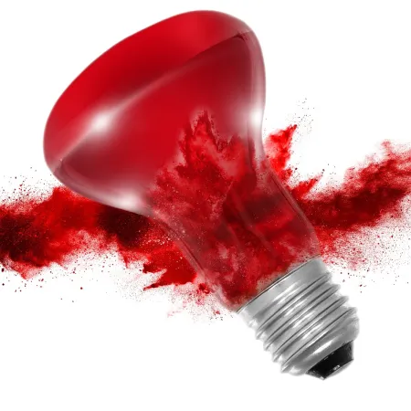 Resun Infrared Spot Lamp 25W - żarówka podczerwona-1918018