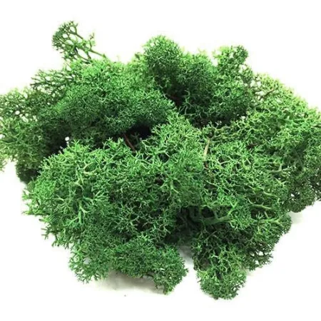 Secret Live Moss Dark Green - Mech Żywy porcja 5g-1919072