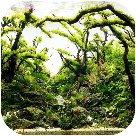 Shizen Essence J-roots L - duże korzenie japońskie Mizube i Ryuboku-1919197