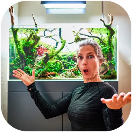 Shizen Essence J-roots M - średnie korzenie japońskie Mizube i Ryuboku-1919217