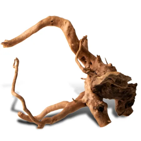 Shizen Essence J-roots S - małe korzenie japońskie Mizube i Ryuboku-1919227