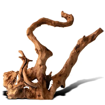 Shizen Essence J-roots XS - mini korzenie japońskie Mizube i Ryuboku-1919234