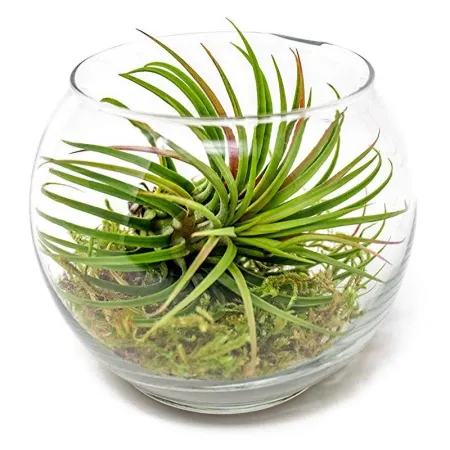 Siatka PCV  - do oddzielania warstw podłoża-1919266