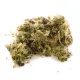 Komodo Habitat Moss 3l - żywy mech torfowiec 400g-1910150