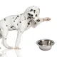 Lupipets Dog Bowl - metalowa miska dla psa 0,9L-1911550