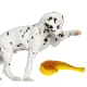 Lupipets Dog Toy Grill - zabawka piszcząca 16cm-1911563