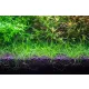 NEO Soil Shrimp 3l - podłoże do krewetkariów-1912985