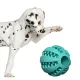Pet Nova zabawka - piłka superdental baseball miętowa 5cm-1914115