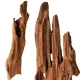 Philippines Classic Driftwood - drzewo mangrowca z wody XS ok.16cm-1914250