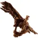 Philippines Classic Driftwood - drzewo mangrowca z wody XXL 70cm - 110cm-1914257