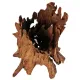 Philippines Classic Driftwood - drzewo mangrowca z wody XXL 70cm - 110cm-1914261