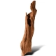 Philippines Classic Driftwood - drzewo mangrowca z wody XXS ok.10cm-1914270