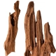 Philippines Classic Driftwood - drzewo mangrowca z wody XXS ok.10cm-1914275