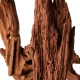 Philippines Classic Driftwood - drzewo mangrowca z wody XXS ok.10cm-1914276