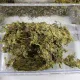 Repti-Zoo Chile's Sphagnum moss - mech torowiec 4,5l-1914911