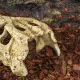Repti-Zoo Crocodile Skull M - czaszka krokodyla-1914928