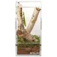 Repti-Zoo Easy Clean Acrylic Terrarium - terrarium akrylowe 10x10x20cm-1915100