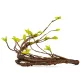 Repti-Zoo Jungle Tree - liana / drzewko gięte-1915479