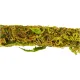Repti-Zoo Liana z naturalnym mchem 1cm x 2m-1915541