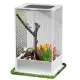 Repti-Zoo Mantis Box L - terrarium akrylowe dla modliszek-1915596