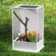 Repti-Zoo Mantis Box M - terrarium akrylowe dla modliszek-1915619