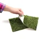 Repti-Zoo Natural Moss Back&Bottom - tło i podłoże z mchu 20x20cm-1915831