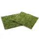 Repti-Zoo Natural Moss Back&Bottom - tło i podłoże z mchu 20x20cm-1915835