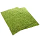 Repti-Zoo Natural Moss Back&Bottom - tło i podłoże z mchu 20x30cm-1915844