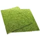 Repti-Zoo Natural Moss Back&Bottom - tło i podłoże z mchu 20x30cm-1915845