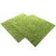 Repti-Zoo Natural Moss Back&Bottom - tło i podłoże z mchu 45x45cm-1915850