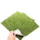 Repti-Zoo Natural Moss Back&Bottom - tło i podłoże z mchu 45x45cm-1915855