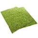 Repti-Zoo Natural Moss Back&Bottom - tło i podłoże z mchu 50x25cm-1915865