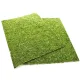 Repti-Zoo Natural Moss Back&Bottom - tło i podłoże z mchu 50x25cm-1915866