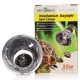 Repti-Zoo Neodymium Daylight 35W - żarówka grzewcza neodymowa-1915907