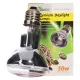 Repti-Zoo Neodymium Daylight 50W - żarówka grzewcza neodymowa-1915918