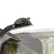 Repti-Zoo Rampa + Wyspa dla żółwi L-1916276