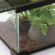Repti-Zoo Terrarium AK 21x31x15-1916858