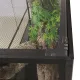Repti-Zoo Terrarium Giant RK 180x60x60-1916953