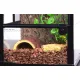 Repti-Zoo Terrarium RK  30x30x45cm-1917103