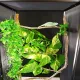 Repti-Zoo Terrarium z aluminiowej siatki 25x25x32-1917445
