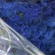 Secret Live Moss Sapphire Blue - Mech Żywy porcja 5g-1919115