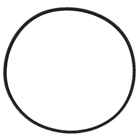 SunSun Uszczelka głowicy HW-302